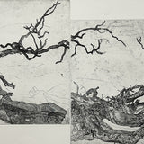 Red Gums, Richardson River panorama II 2026