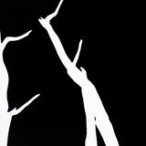 Murray red gums II 2012