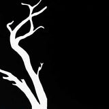 Murray red gums III 2012