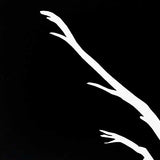 Murray red gums IV 2012