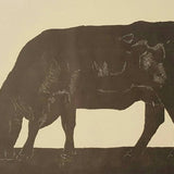 Angus at Yammacoona II 2019