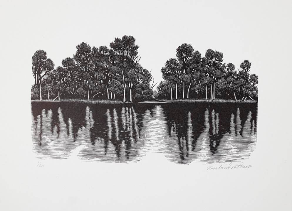 Murray reflection 2020 – Australian Galleries