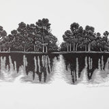 Murray reflection 2020