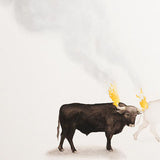 Decoy 2012