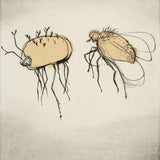 The stick creature and the fly 2022