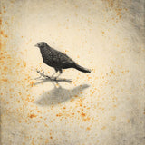 Bird and stick insect 2022