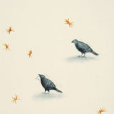 Birds and spiders 2022