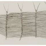 Five stick insects 2022