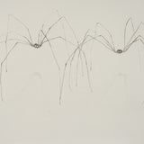Daddy long legs II 2022