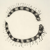 Caterpillar circle I 2022