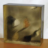 Recurring pears II 1971