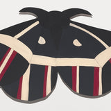 Buttermoth no 23 2023