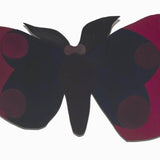 Buttermoth no 21 2023