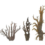 Three Prophets II 2026