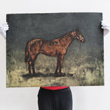 Still life (steed) 2007