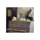 Studio still life 2009