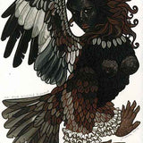 Black-breasted Buzzard 2014