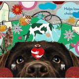 Vernacular postcard 15 2025