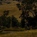 Watchbox summer II 2022