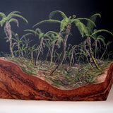 Tract 33 (tree fern gully)  2012