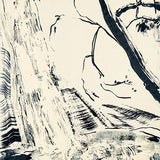 Falling echoes 2022