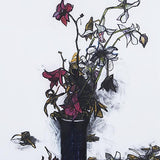 Flowers 1-9 1984