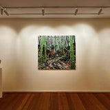 Dip River headwater  2025