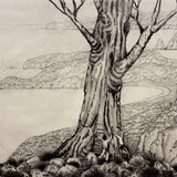 Measuring a tree  2020