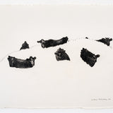 Cows in the grass I 1984