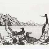 Colonial seabirds 2016