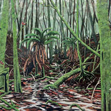 Dip River headwater  2025