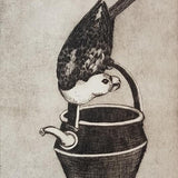 George Raper's king parrot 2023