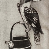 Raper's kookaburra 2023