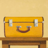 The good luck case 2024