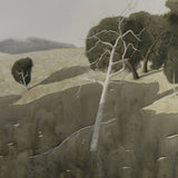 Creeping shadows 2023