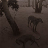 Universal night 2023