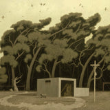 Indignant birds  2025