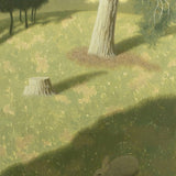 Study of rabbit in shadow 2025