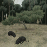 Sleeping cats 2026