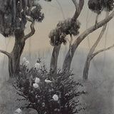 Last light 2026