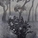 Study for last light 2026