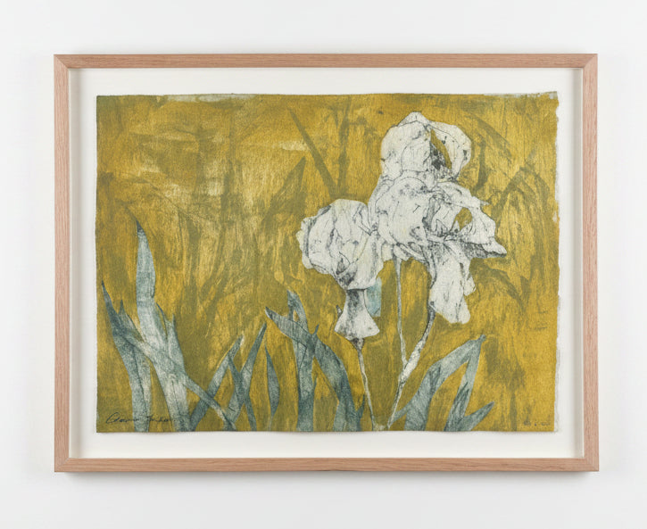 Irises IV 2024