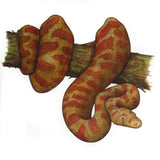 Stimpson's Python 2013