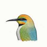 Portrait of a Rainbow Bee-eater 2017