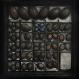 Collection tray no. 23 2018