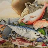 Fish Catch and Hawkesbury River 2026