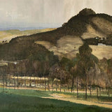 Rain at noon. upper Patterson River 2008