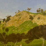Rocky hillside and meadow 2024