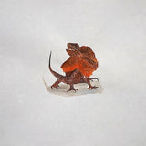 Animalis - Dragon Lizard 2026
