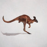 Animalis – Kangaroo 2026